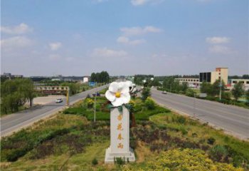 杏花雕塑常用，景觀概念，不銹鋼杏花雕塑廠家